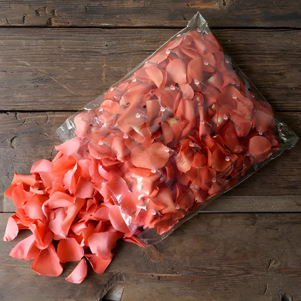 Coral Rose Petals